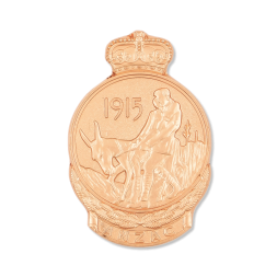 Coins Custom